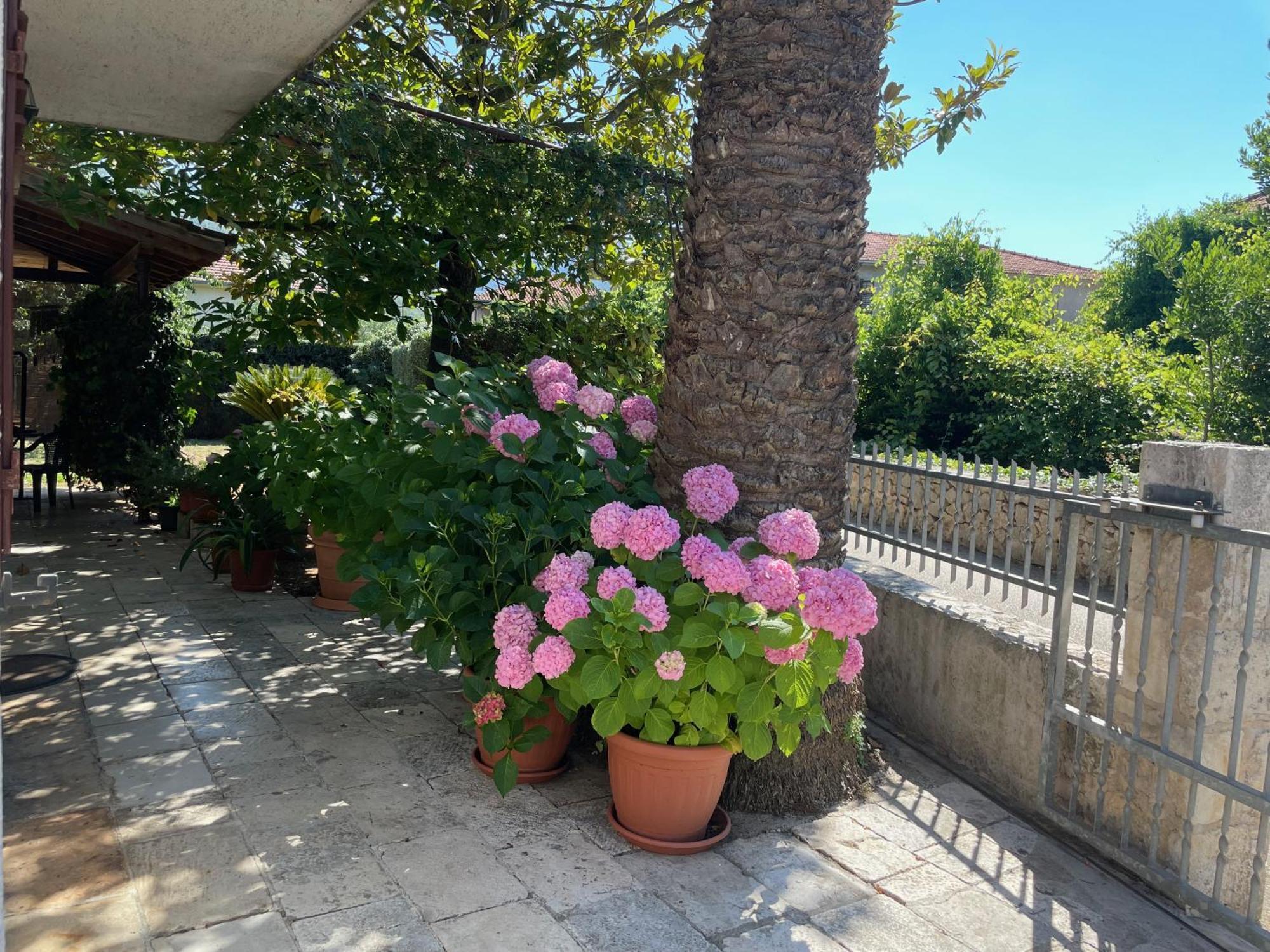 Hvar Guesthouse - Double Bedroom With Private Bathroom Jelsa  Bagian luar foto